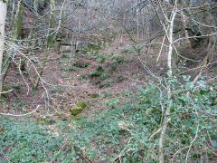 
Quarry beside Visitor Centre, Cwmcarn, January 2012